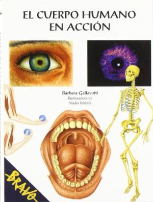 EL CUERPO HUMANO EN ACCION