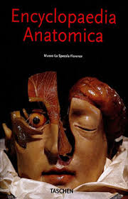 ENCYCLOPAEDIA ANATOMICA