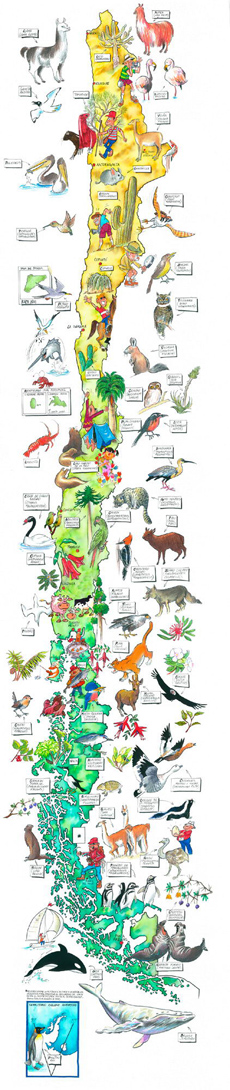 MAPA ILUSTRADO CHILE FLORA Y FAUNA