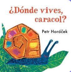 DONDE VIVES CARACOL