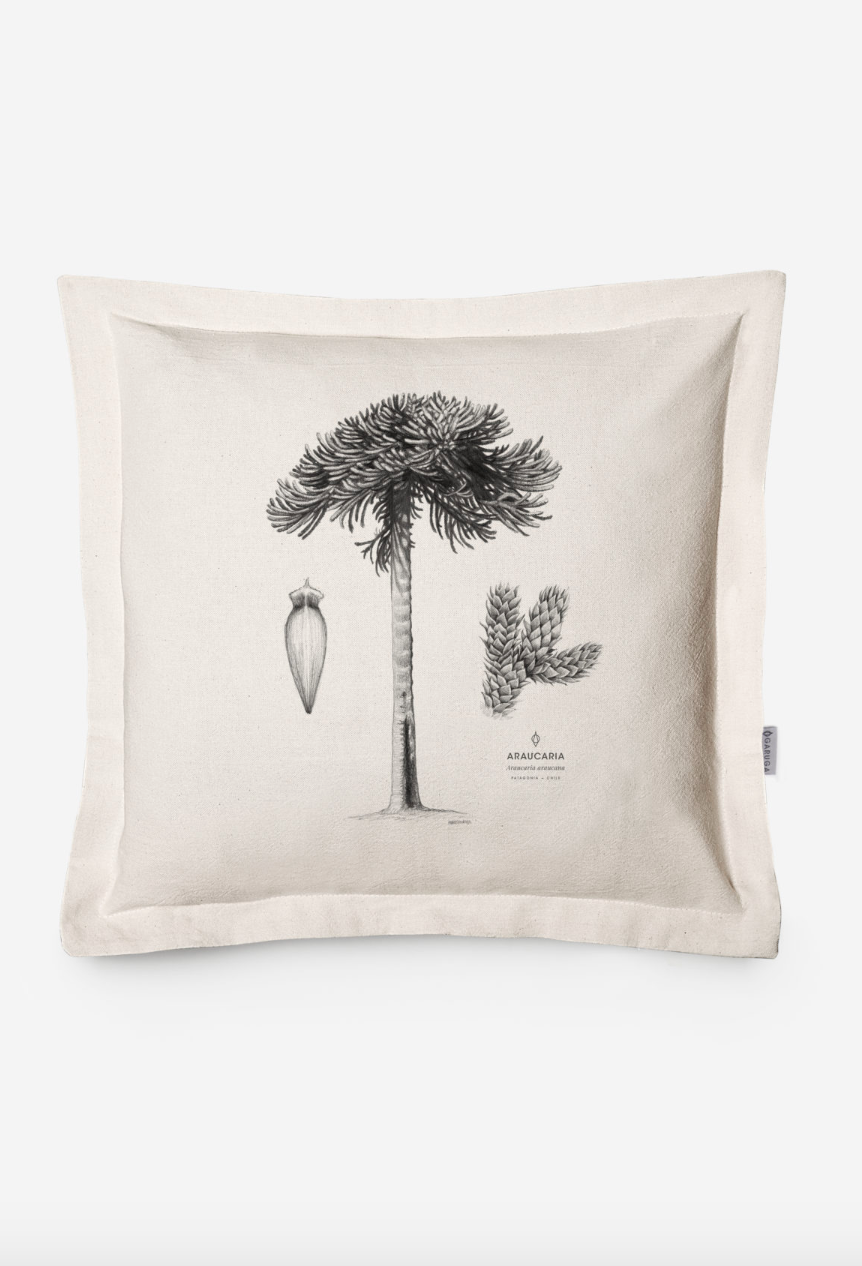 COJIN 50 ARAUCARIA