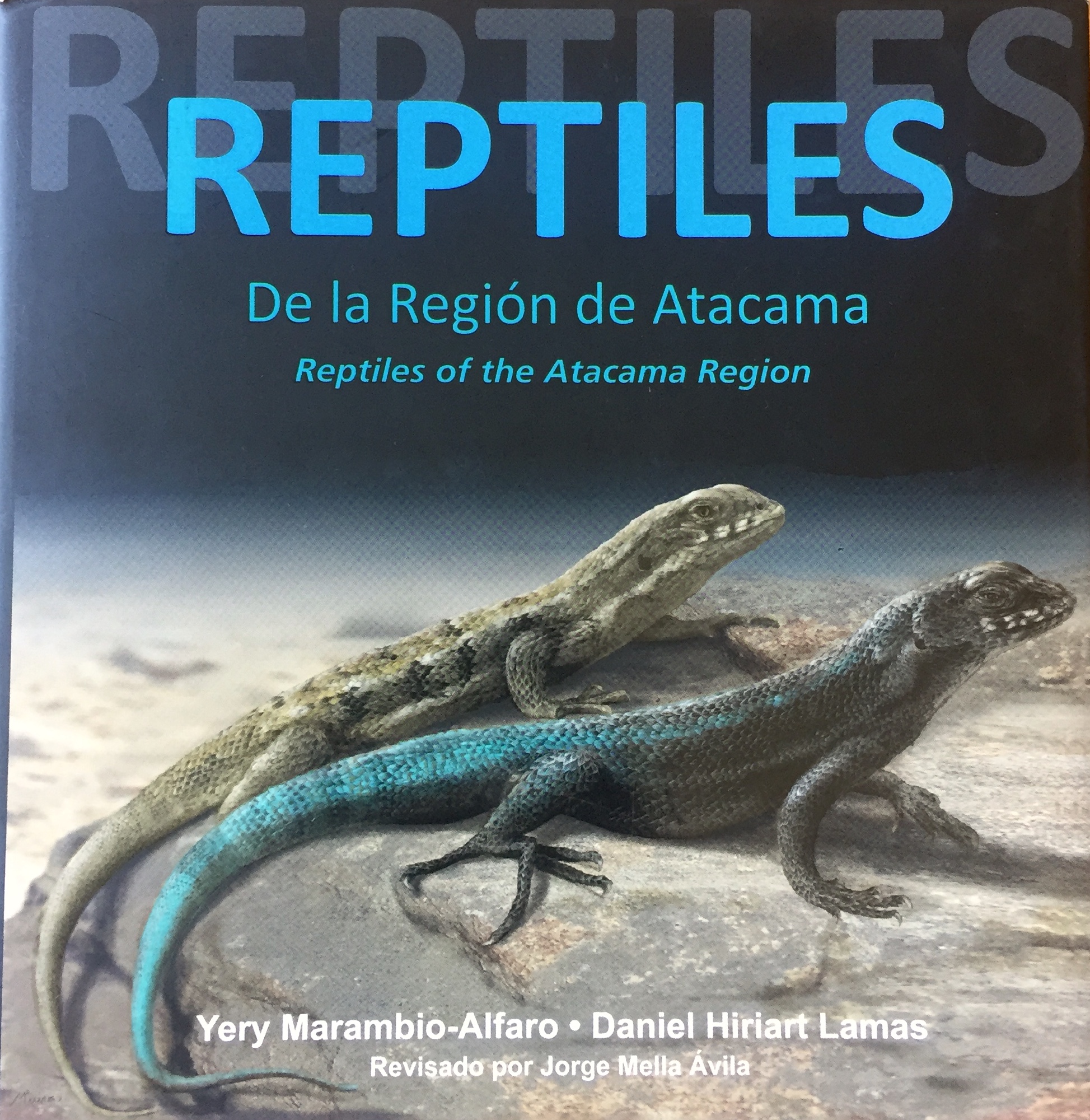 REPTILES DE LA REGION DE ATACAMA