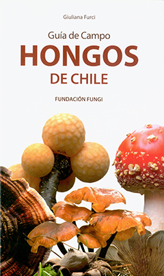 GUIA DE CAMPO HONGOS DE CHILE VOL 1