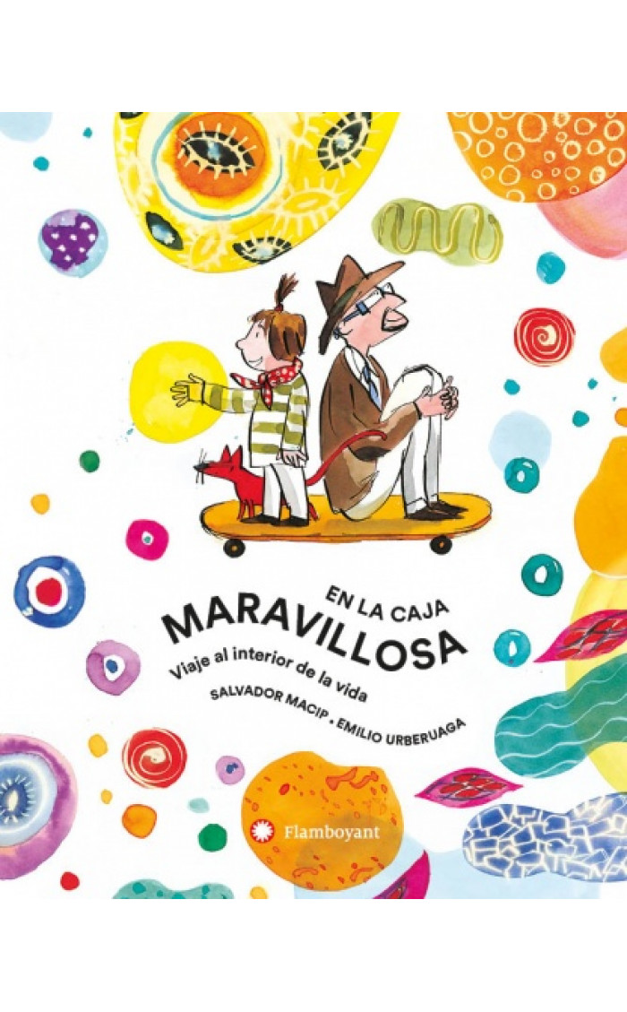 EN LA CAJA MARAVILLOSA