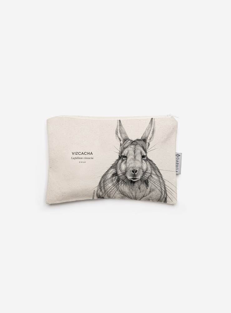 ESTUCHE VIZCACHA