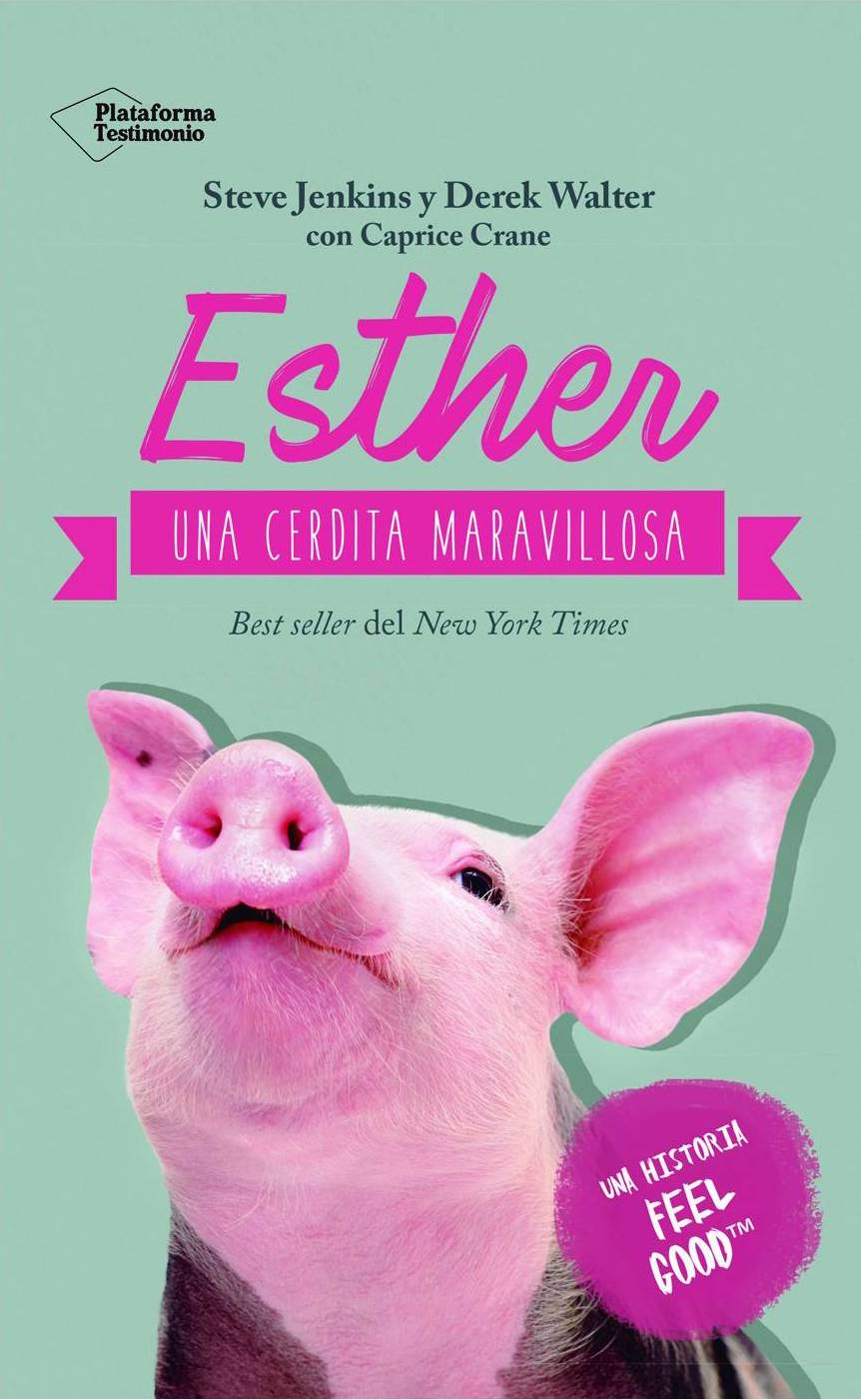 ESTHER UNA CERDITA MARAVILLOSA