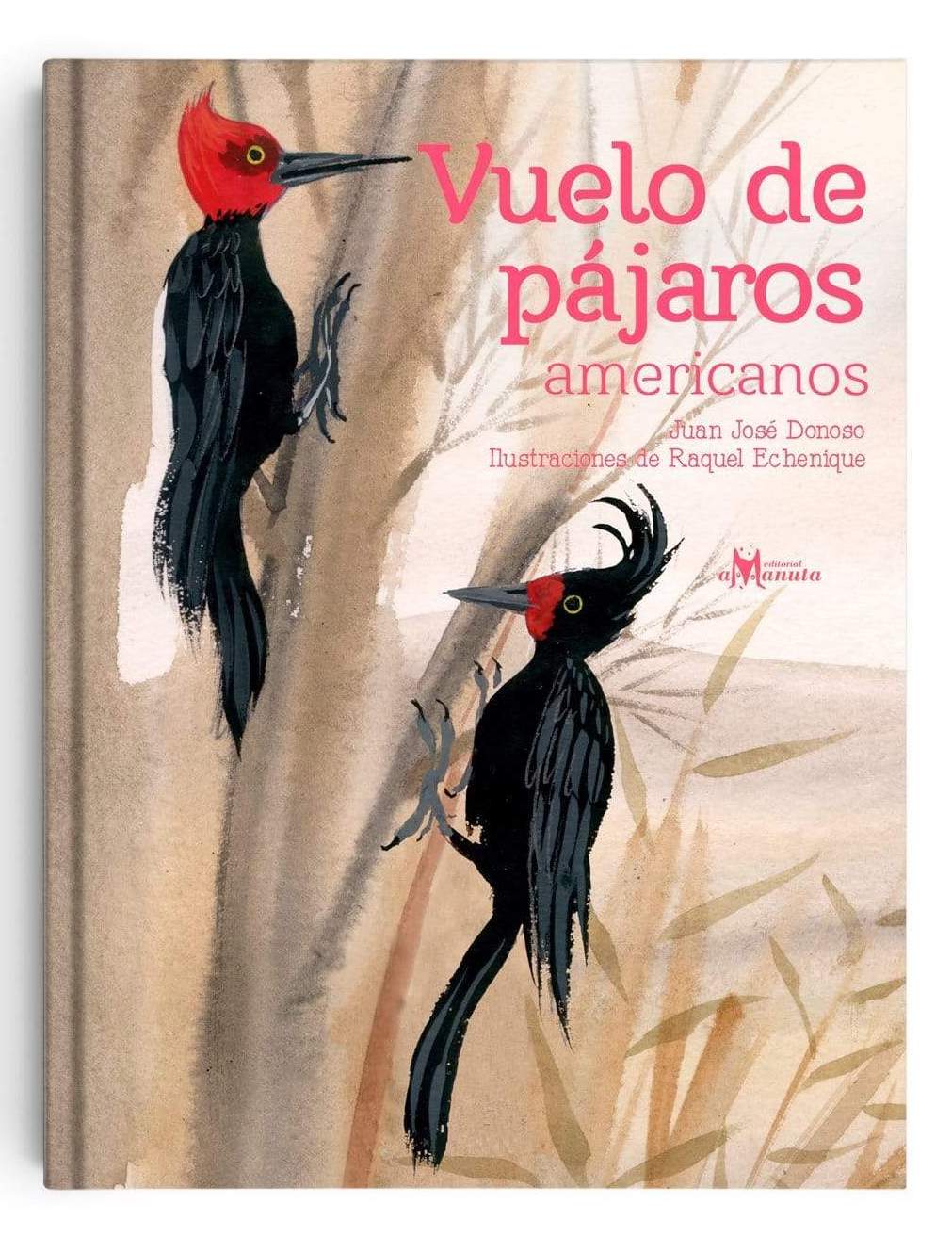 VUELO DE PAJAROS AMERICANOS