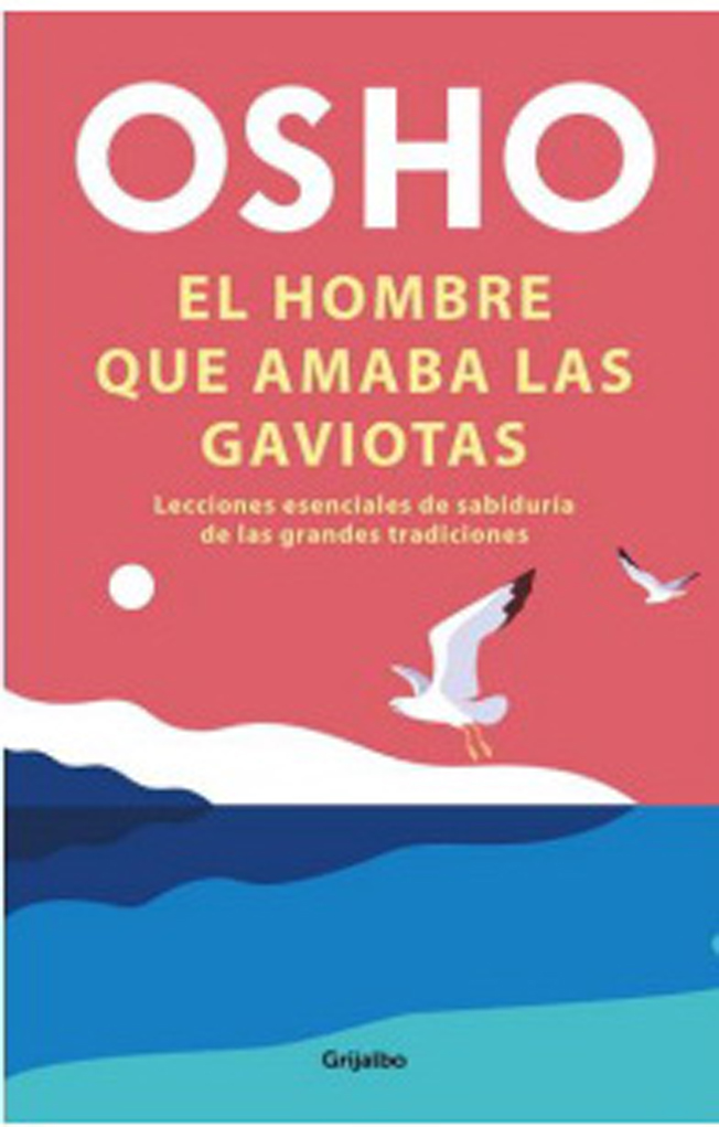 EL HOMBRE QUE AMABA LAS GAVIOTAS