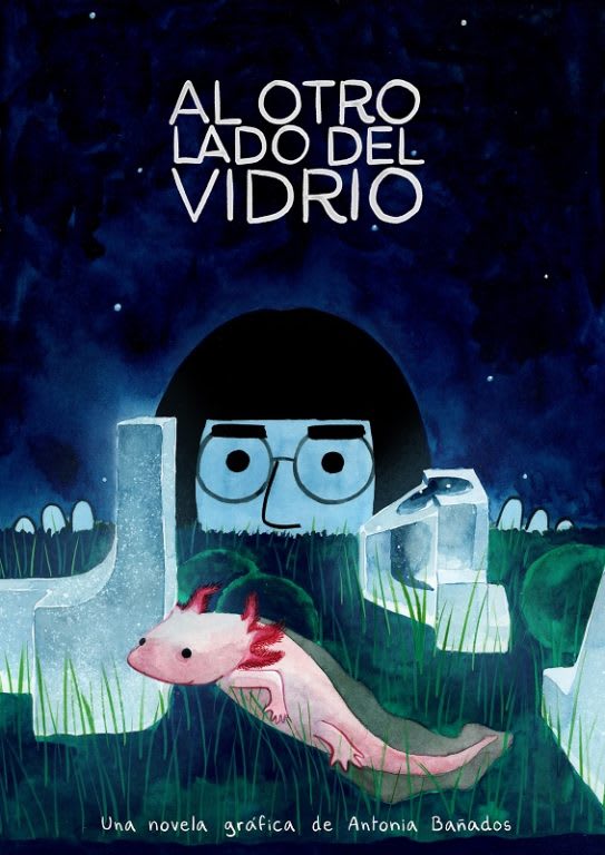 AL OTRO LADO DEL VIDRIO