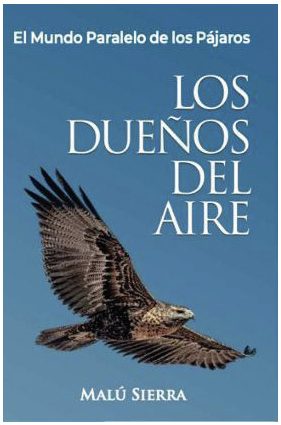 LOS DUEÑOS DEL AIRE