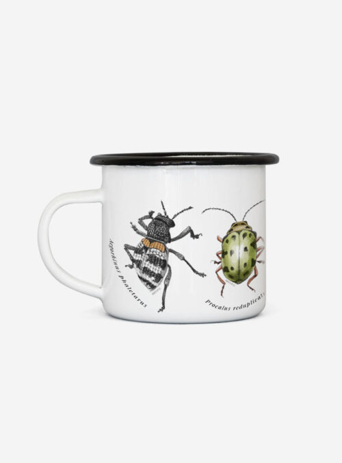 TACHO ENLOZADO INSECTOS