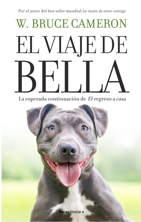LA RAZON DE ESTAR CONTIGO EL VIAJE DE BELLA