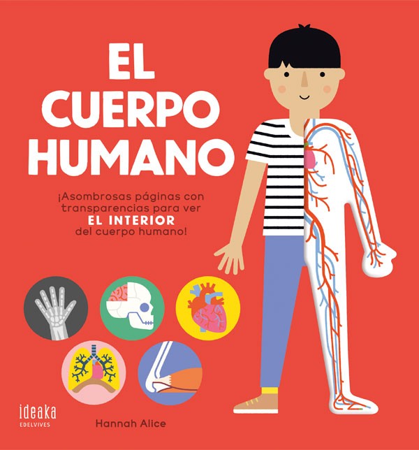 EL CUERPO HUMANO