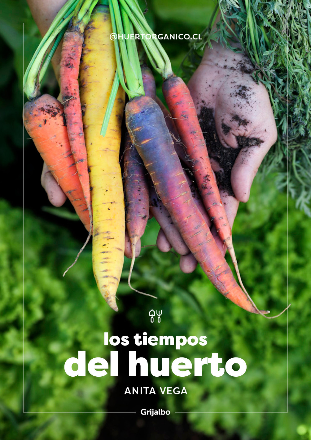 LOS TIEMPOS DEL HUERTO