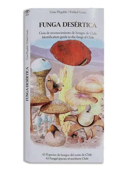 FUNGA DESERTICA GUIA DE RECONOCIMIENTO