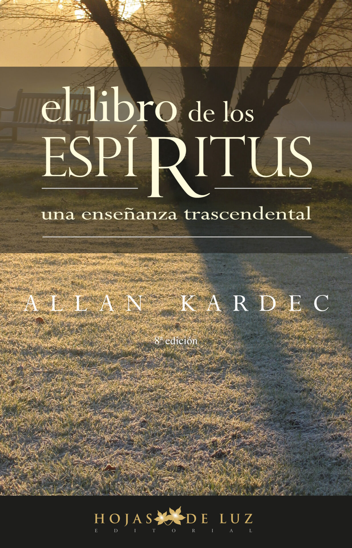 EL LIBRO DE LOS ESPIRITUS