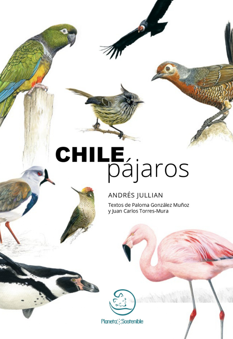 CHILE PAJARO