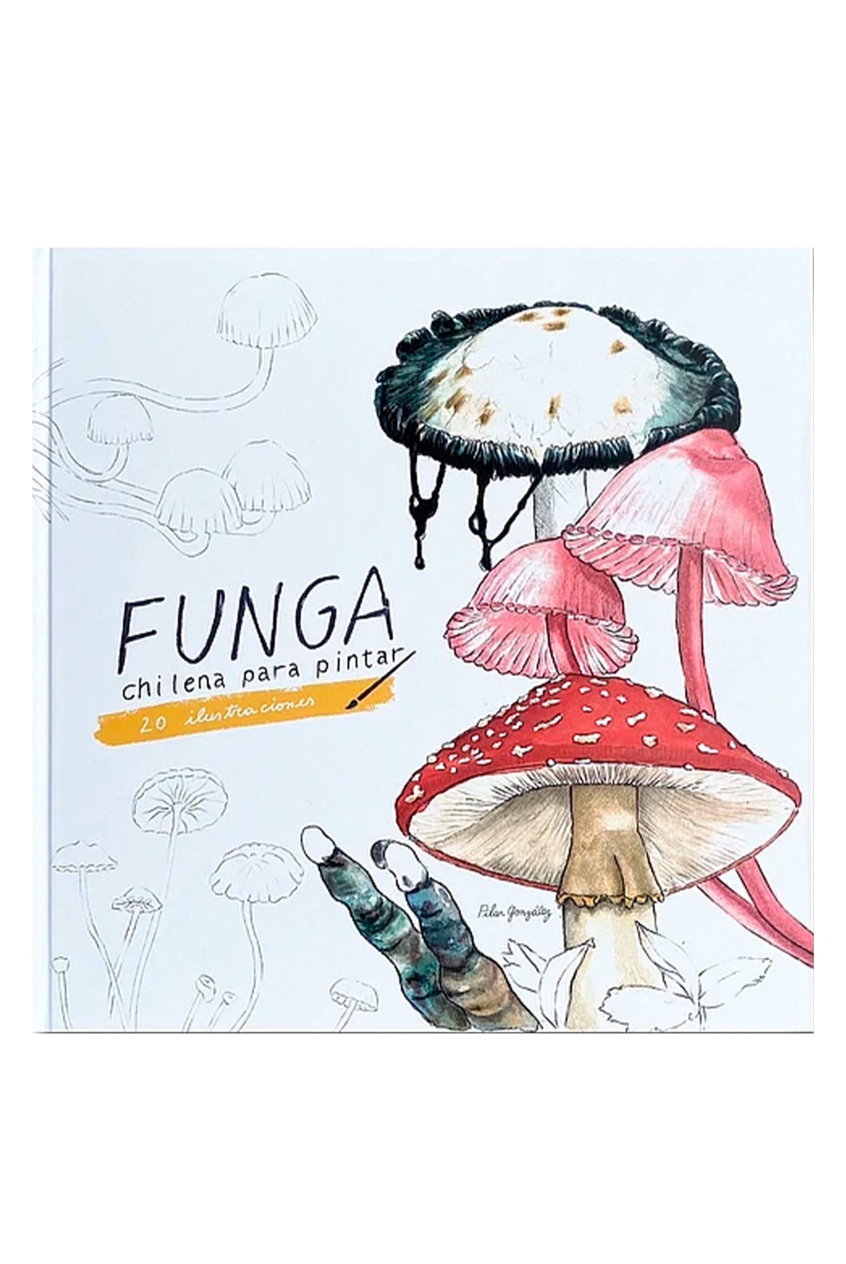 FUNGA CHILENA PARA PINTAR