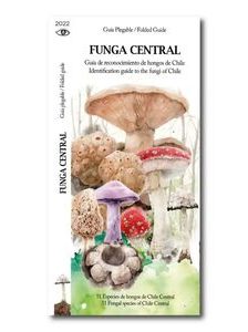 FUNGA CENTRAL DESPLEGABLE