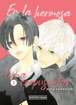 EN LA HERMOSA LUNA CREPUSCULAR 1