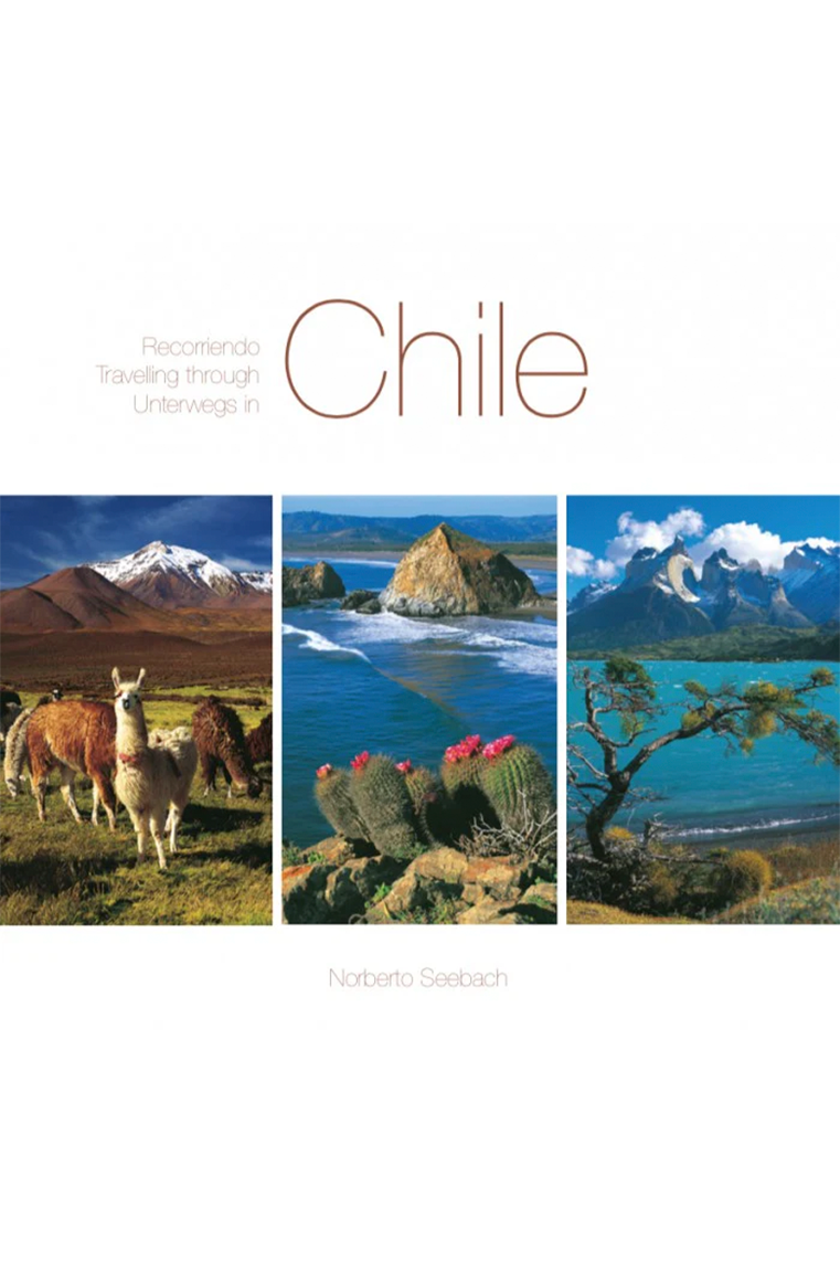 RECORRIENDO CHILE TRAVELLING