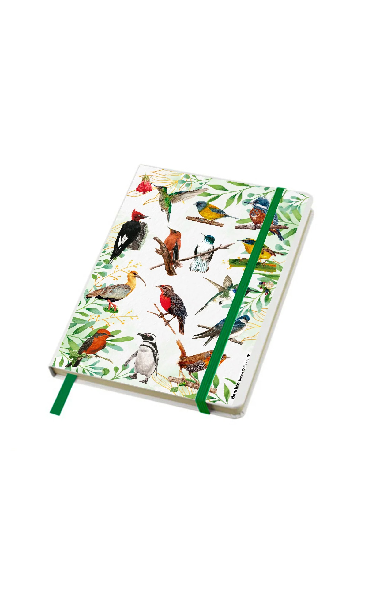 CUADERNOS DE VIAJE AVES MEDIANO