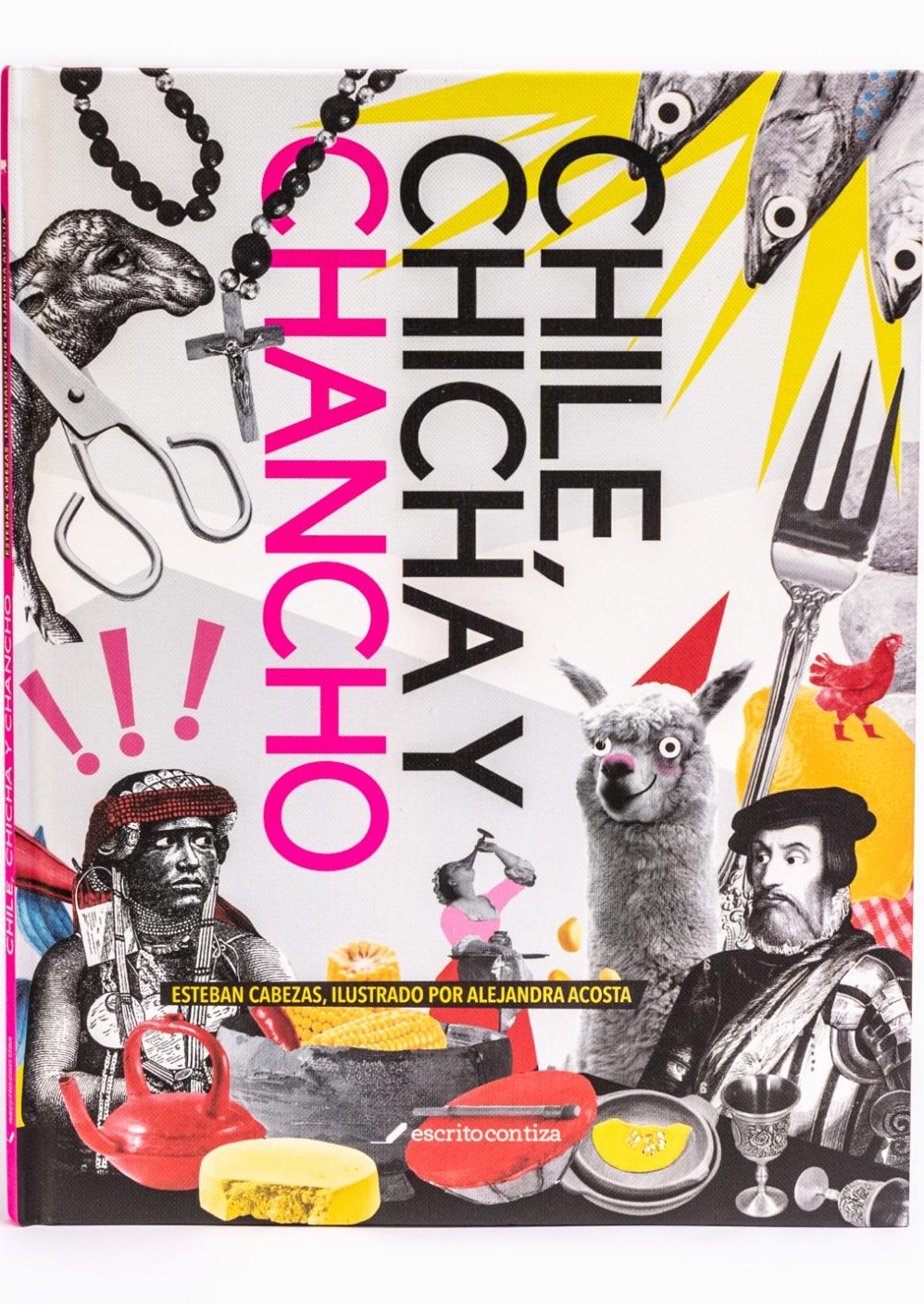 CHILE CHICHA Y CHANCHO