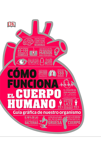 COMO FUNCIONA EL CUERPO HUMANO