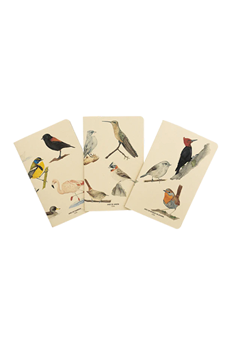 LIBRETA DE NOTAS AVES VARIEDADES