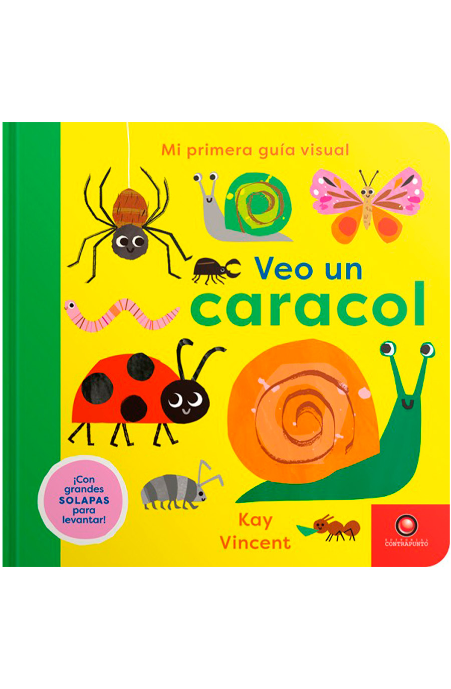 MI PRIMERA GUIA VISUAL VEO UN CARACOL