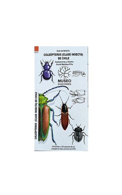 COLEOPTEROS (CLASE INSECTA) DE CHILE DESPLEGABLE
