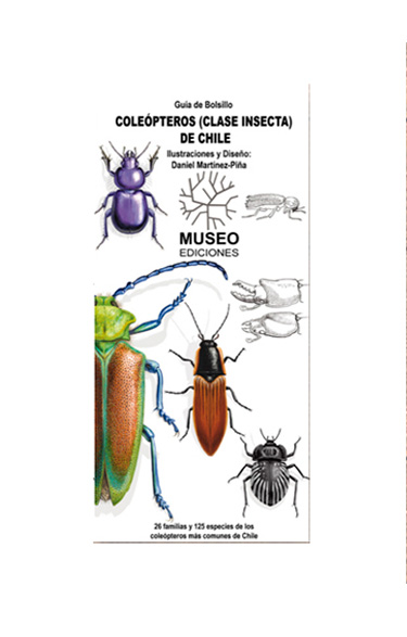 COLEOPTEROS (CLASE INSECTA) DE CHILE DESPLEGABLE