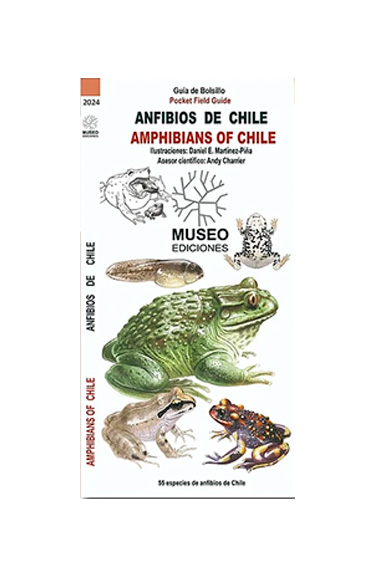 GUIA DE BOLSILLO ANFIBIOS DE CHILE