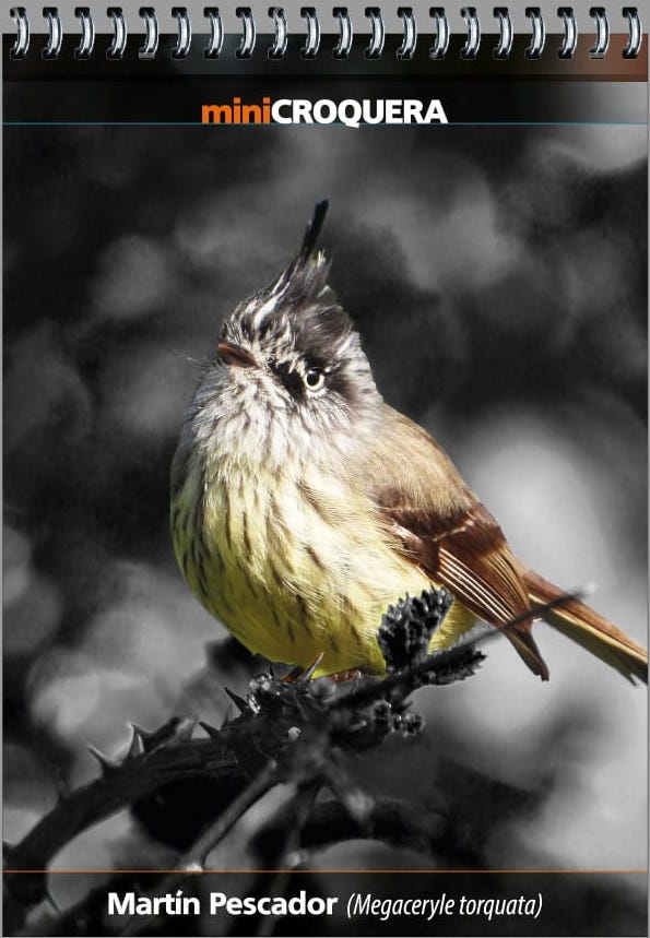 MINI CROQUERA MARTIN PESCADOR