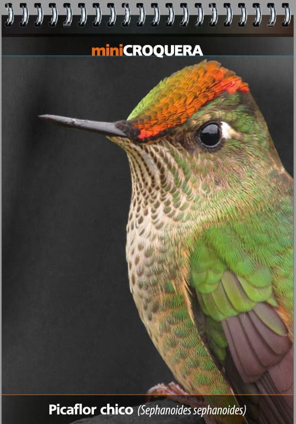 MINI CROQUERA PICAFLOR CHICO