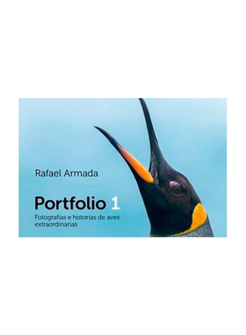 PORTFOLIO 1 FOTOGRAFIAS E HISTORIAS DE AVES EXTRAORDINARIAS