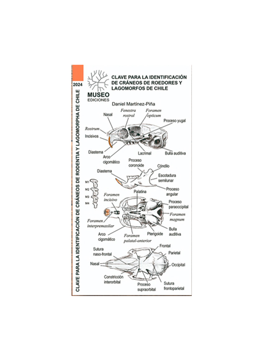 GUIA DE IDENTIFICACION DE CRANEOS DE ROEDORES Y LAGOMORFOS DE CHILE