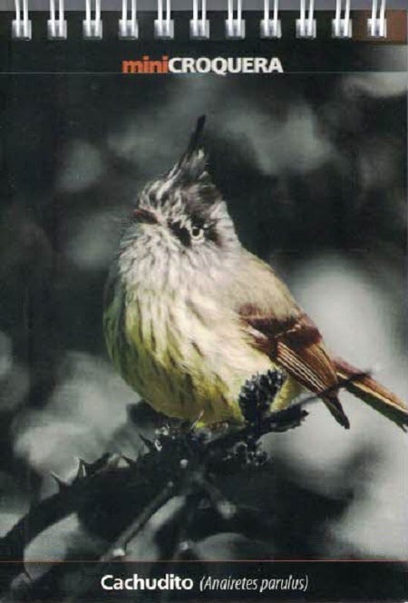MINI CROQUERA CACHUDITO