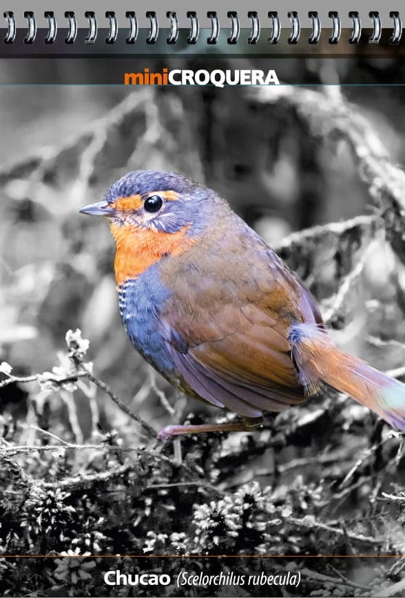 MINI CROQUERA CHUCAO