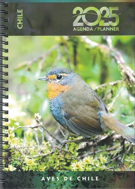 AGENDA AVES DE CHILE 2025 DIA A LA VISTA