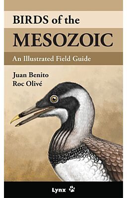 BIRDS OF THE MESOZOIC