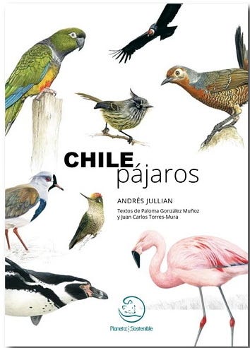 CHILE PAJARO