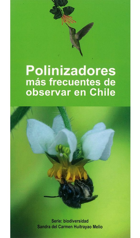 POLINIZADORES MAS FRECUENTES DE OBSERVAR EN CHILE