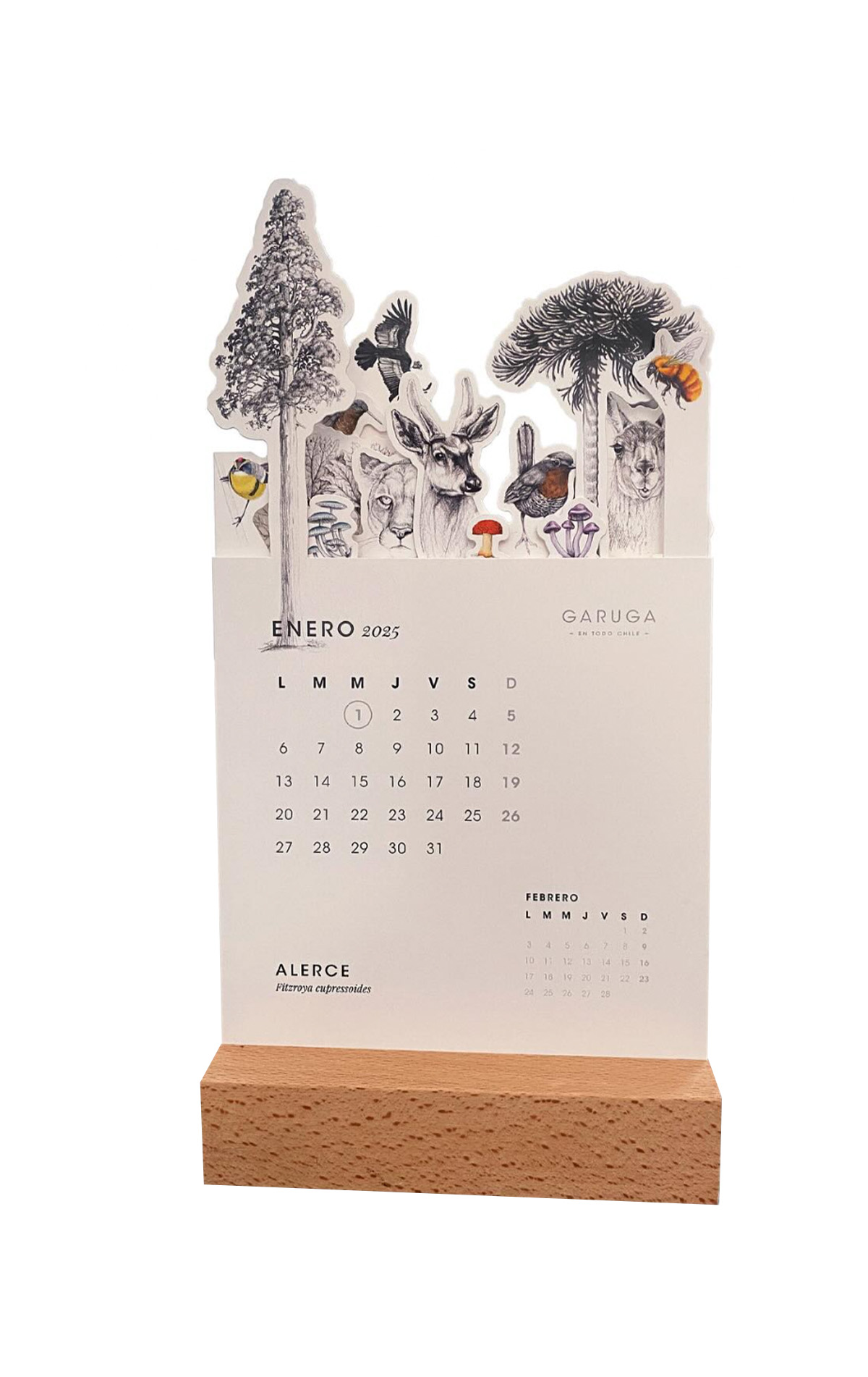 CALENDARIO 2025 GARUGA