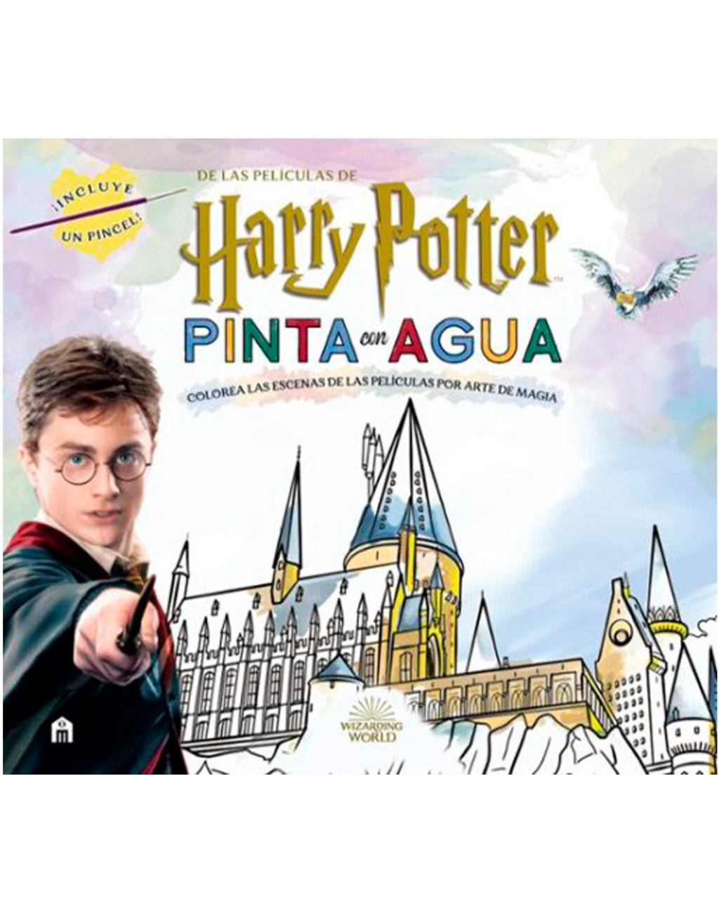 HARRY POTTER PINTA CON AGUA