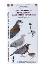 GUIA DESPLEGABLE AVES CONTINENTALES DE CHILE CENTRAL