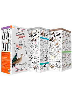 GUIA DESPLEGABLE AVES MARINAS Y PLAYERAS DE CHILE