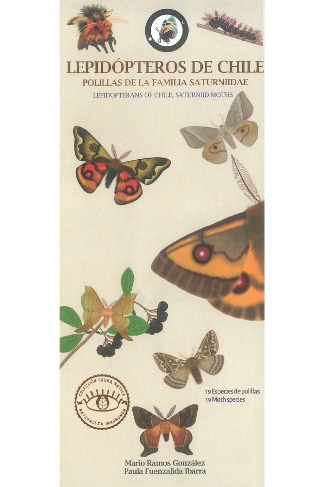 GUIA DESPLEGABLE LEPIDOPTEROS DE CHILE