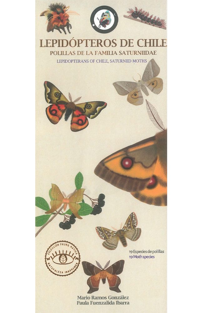 GUIA DESPLEGABLE LEPIDOPTEROS DE CHILE