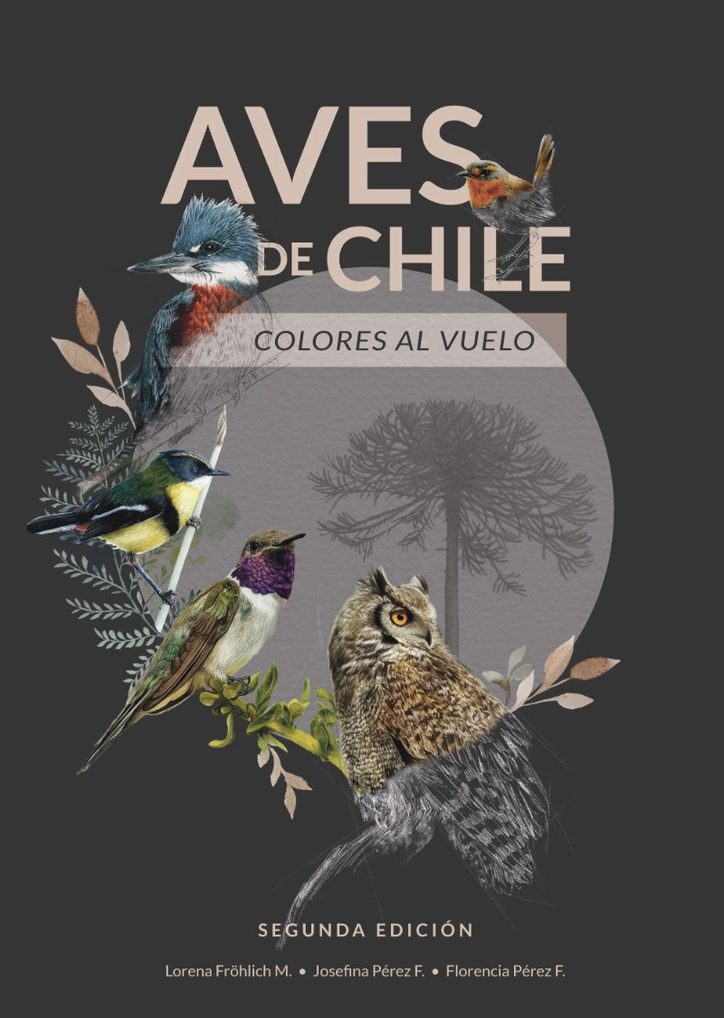 AVES DE CHILE COLORES AL VUELO – SEGUNDA EDICION